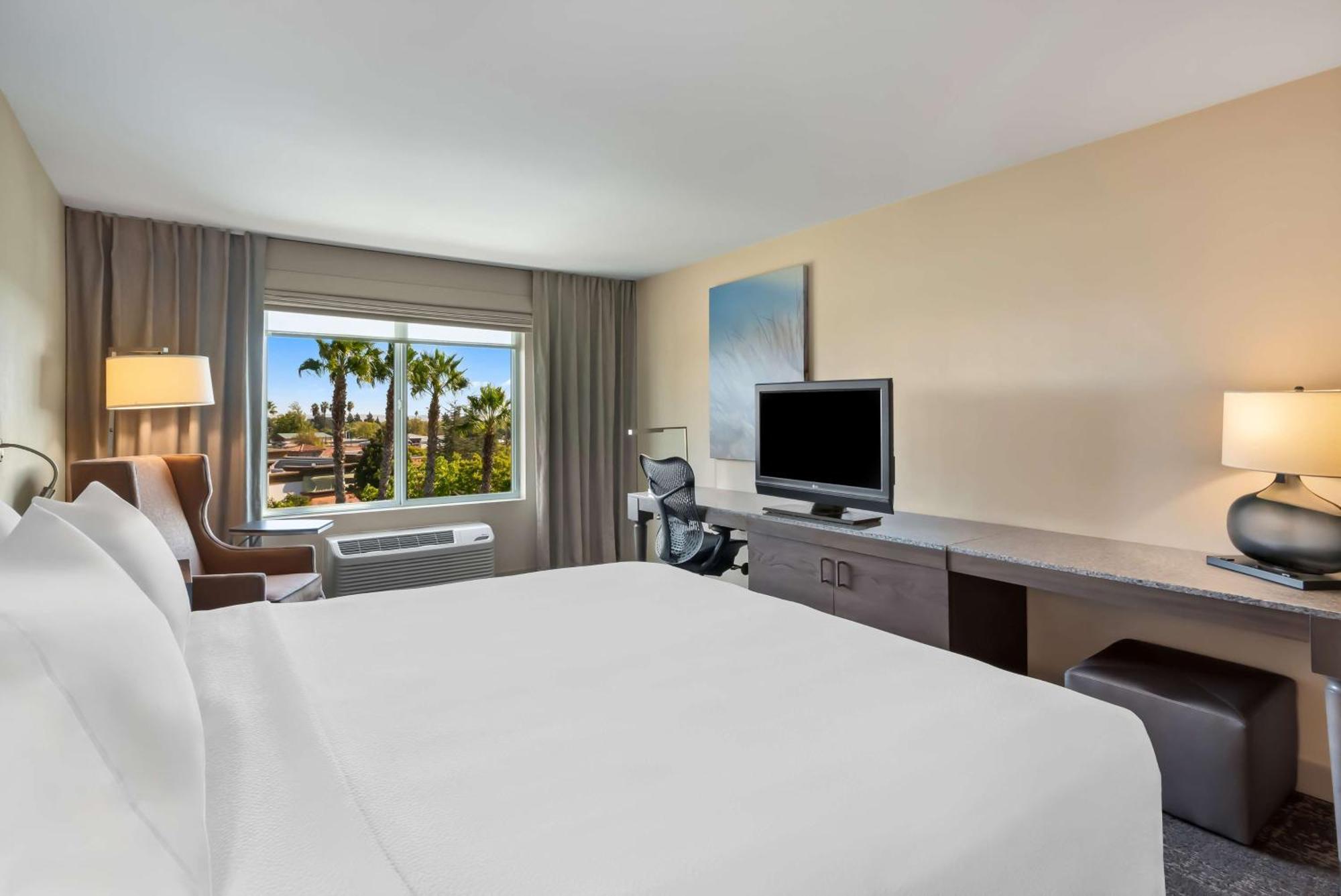 Hilton Garden